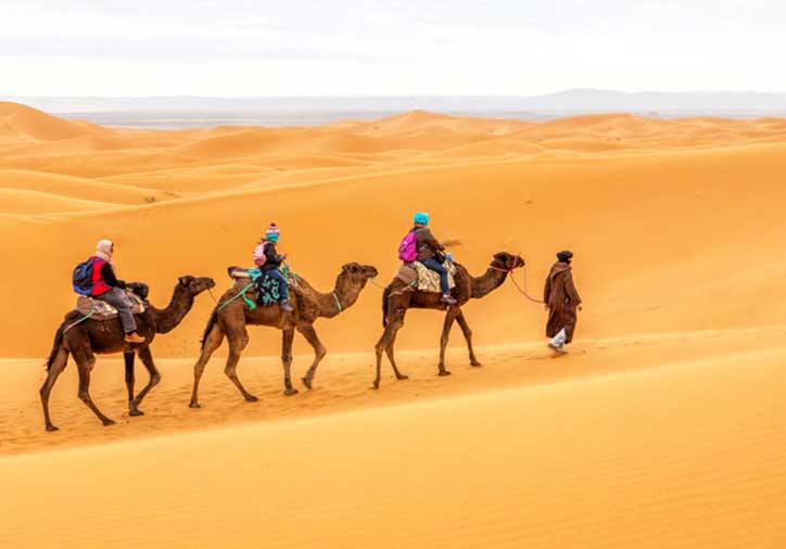 camle-etrekking-merzouga