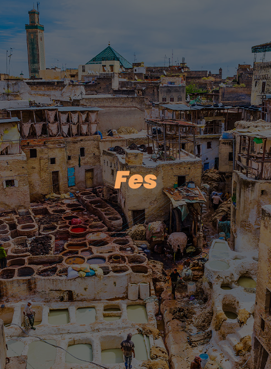 fes0021